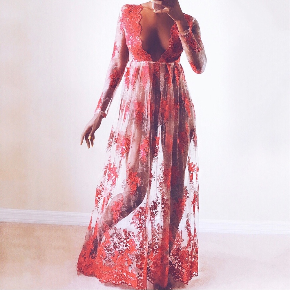 NWOT Sheer & Embroidered Maxi Dress